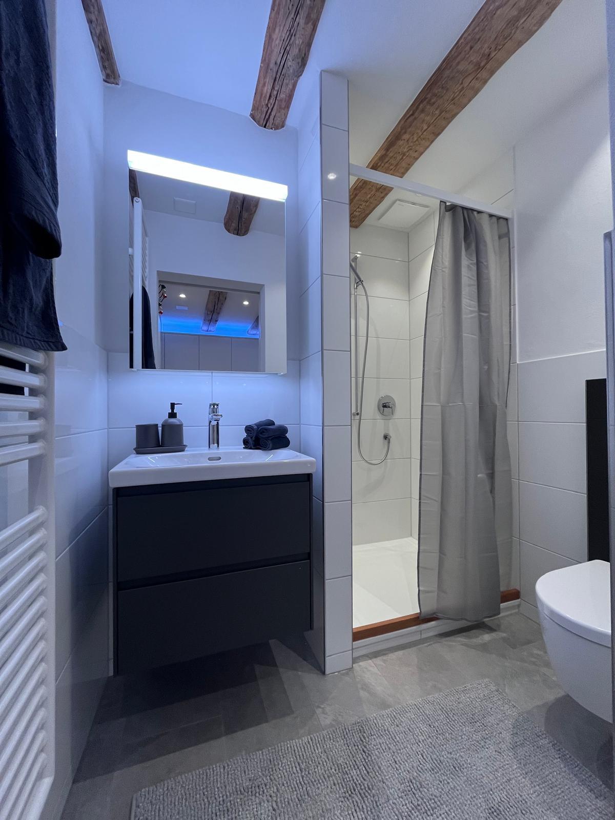 1.5 Zimmer-Wohnung